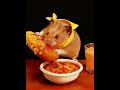 Hamster ASMR 🐹 #2  Relaxing Eating Sounds #funny #fyp #hamster #asmr #relax