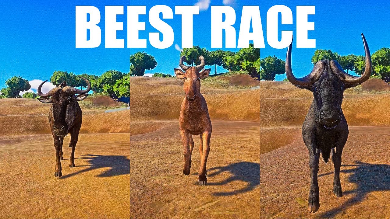 The Beest Category Speed Race in Planet Zoo included Hartebeest , Blue ...