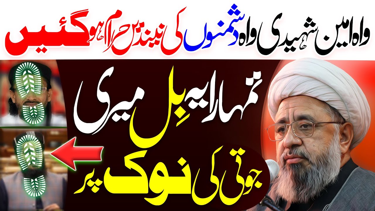 Ullama Conference Tauheen E Sahaba Bill Mairi Juti Ki Nok Par | Maulana Muhammad Amin Shaheedi