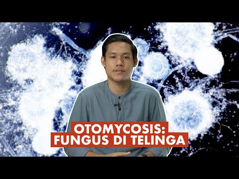 Video: Kulat Di Telinga - Gejala, Sebab Dan Rawatan