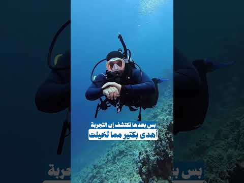 غوص ينبع: عالم ثانٍ تحت البحر بين المرجان والأسماك