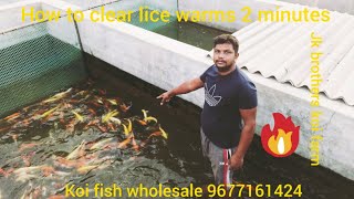 கோய் மீன் பத்தி பேசலாம் வாங்க !! exotic koi fish at jk brothers koi farm || koi fish for sale