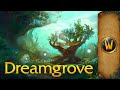 The dreamgrove  music  ambience  world of warcraft