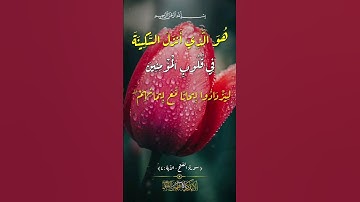 هُوَ الَّذِي أَنزَلَ السَّكِينَةَ فِي قُلُوبِ الْمُؤْمِنِينَ #سورة #الفتح #الآية ٤ #لاتهجروا_القران