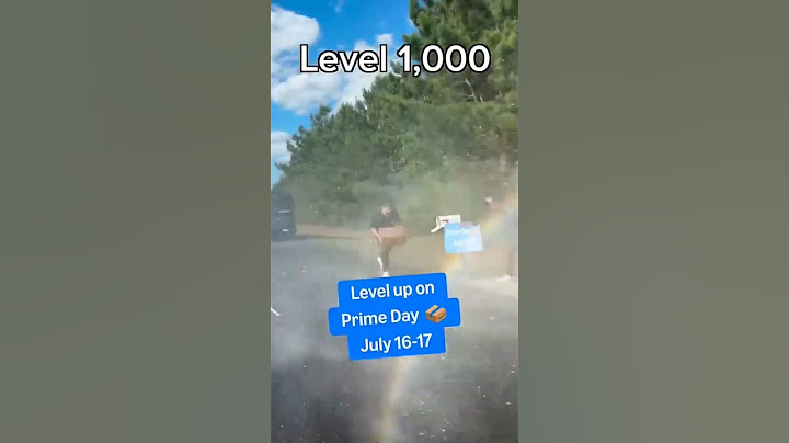 Level 1 To Level 1,000 Package Delivery
