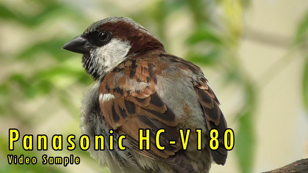 Panasonic HC-V180 Full HD Camcorder (Video Test/ Sample Video)