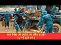 quần áo dân quân tự vệ hàng mới 100% giá rẻ bao ship toàn quốc