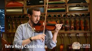 Terra Nova Classic Model Violin