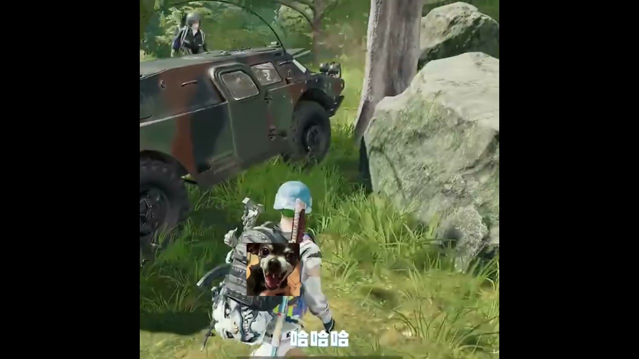 #pubg