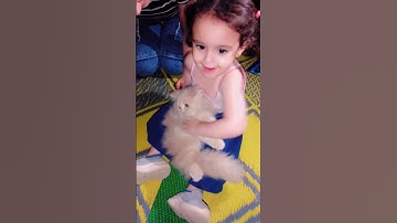 تلاوة خاشعه . #اكسبلور #القزابري #duet #المصحف #قصص #لايك #الرحمن #دويتو #العظماء إشترك من فضلك #ترن