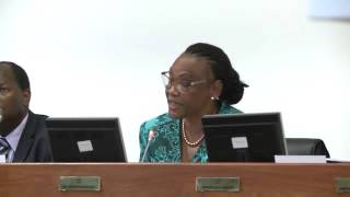 Play video: Exma. Deputada Ana Rita Sithole