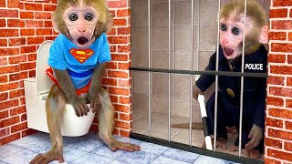 Monkey Baby Bon Bon escapes the awesome maze and eat Ice Cream with puppies in the garden by Animal HT 16,993,665 views 2 months ago 42 minutes