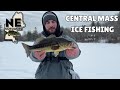 Early Season Ice Fishing in Central MA - Multi Species Action!