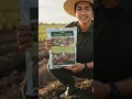 Penggembur Tanah Organik, Asam Humat Pembenah Tanah, Tanah Subur, Panen Makmur dengan Asam Humat