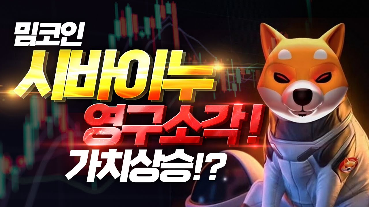 시바이누(SHIB) 영구소각! 시바이누의 전망은? 가치상승인가?