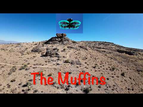The Muffins FPV