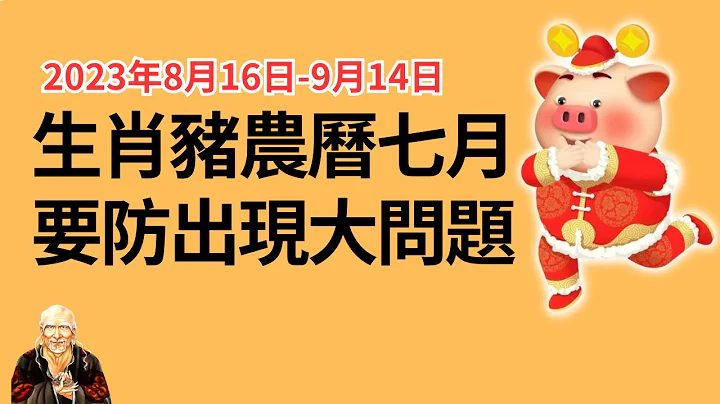 這個月份很特殊，生肖豬身體容易出大問題，一定要注意！單身豬也容易被拒絕，這月脫單很困難！關注2023年農曆7月（8月16日-9月14日）生肖豬運勢運程大揭秘！ 生肖豬 | 屬豬 | 屬豬 | 生肖豬 - 天天要聞