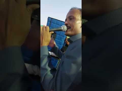 غازي سعيد حفله عنيبه عزف الامبراطور محمد فوزي
