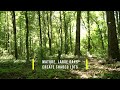 “28.8 Acres Ready for Development in Brookhaven, MS! 🏗️”
