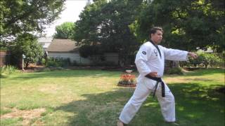 Poomsae Training: Kicho Il Bu Hyung Learn This Form