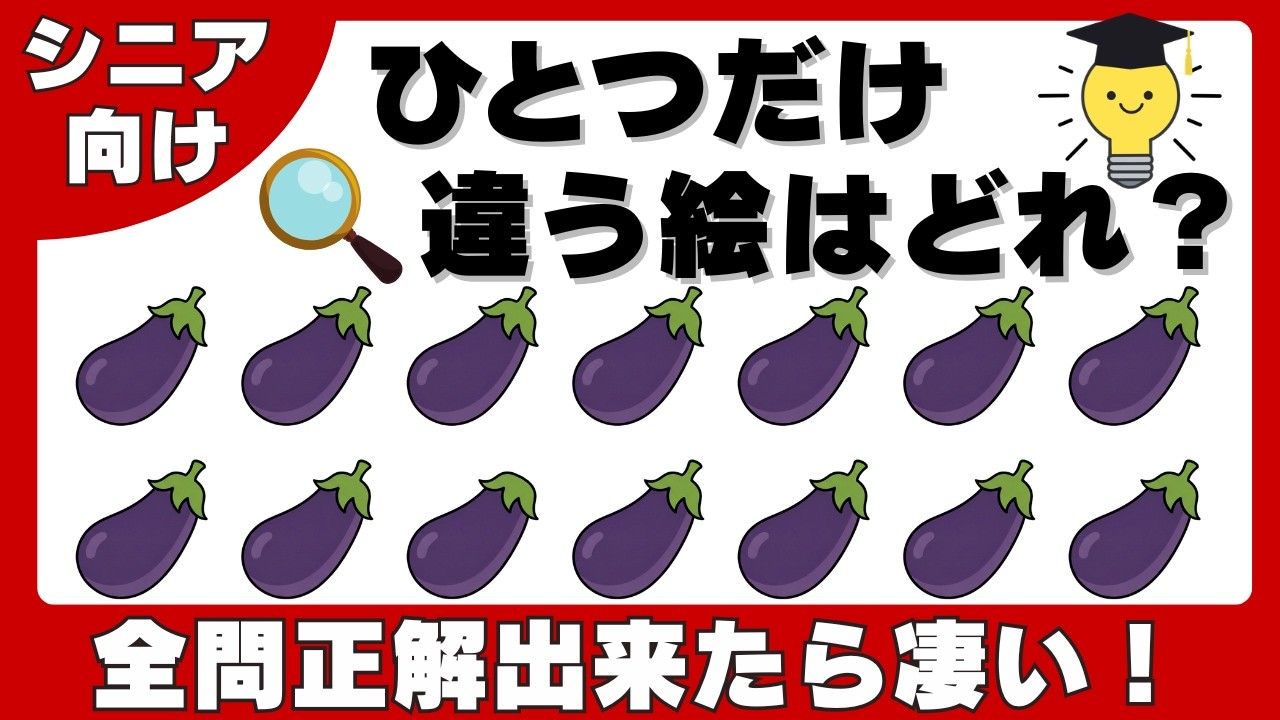 【脳トレ】全問正解出来る人はわずか！隙間時間に間違い探しで脳の活性化！