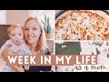 WEEK IN MY LIFE AS A MOM! | Kate Quinn Clothing Haul, Sourdough Pizza Recipe, + Mom Routines!