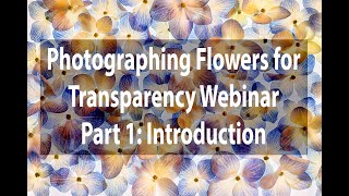Photographing Flowers For Transparency Webinar | Part 1: Introduction | Harold Davis