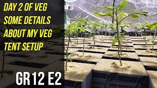 Day 2 of Veg Some Details About My Veg Tent Setup - GR12 E2