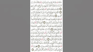 ما تيسر من سورة الحج بصوت اكثر من رائع