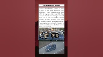 The Moose Head Disaster