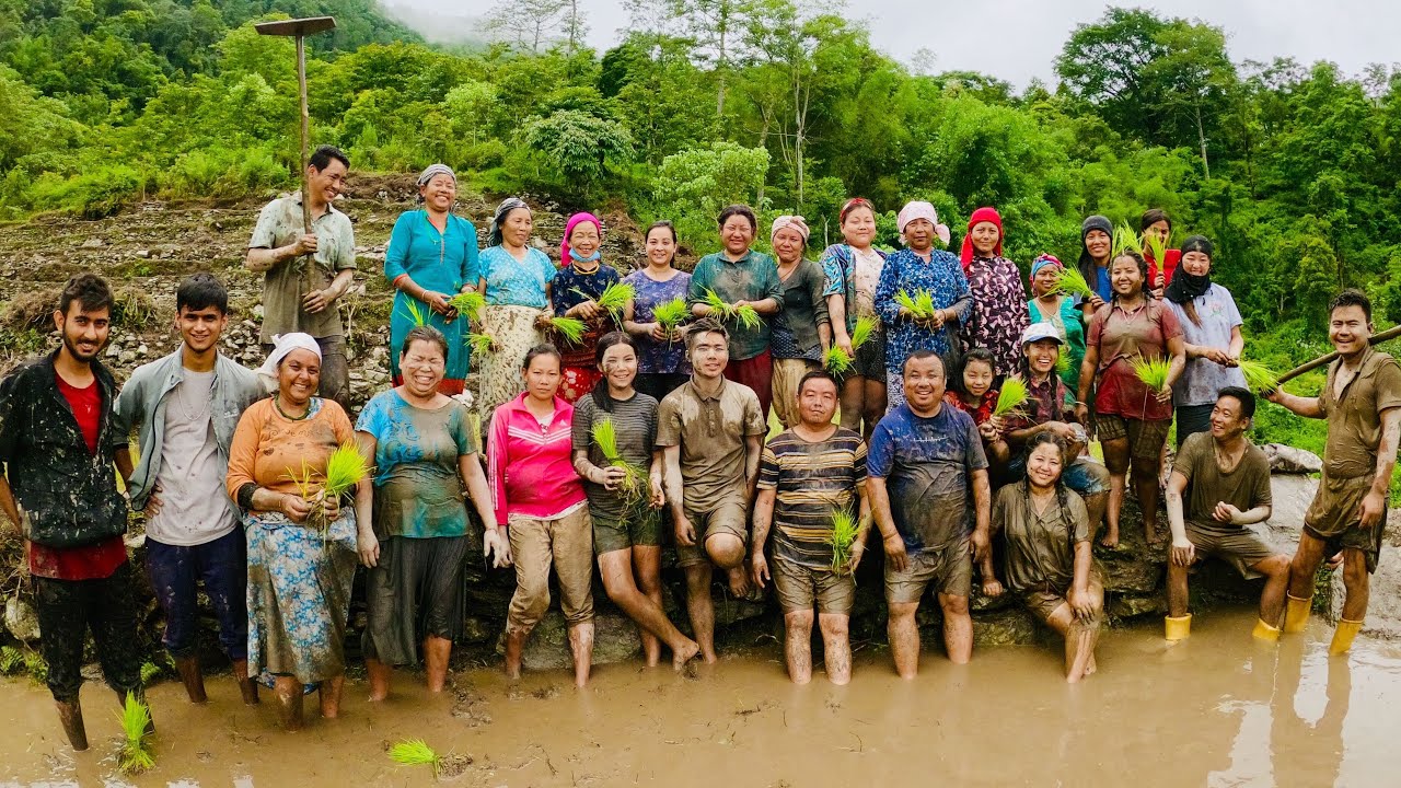 | ASAR ROPAI 2021 | HAMRO PARAMPARA |