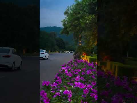 Hona tha pyar 🥰 | Atif Aslam | status #asthetic #love #status #shorts