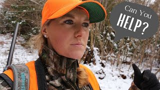 Maine Deer Hunt | Early Snow