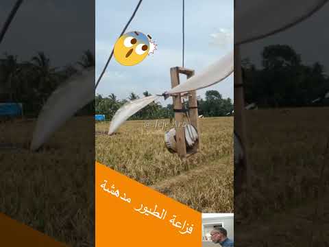 خطير هذا الشئ فزاعة الطيور فزاعة الطيور  