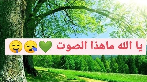 عبد الرحمان مسعد، سورة الأعلى، المزمل و الغاشية، تلاوة خاشعة 💚❤️😪🤤🥱