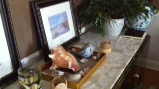 iPhone 4 HD Video Demo: Indoors