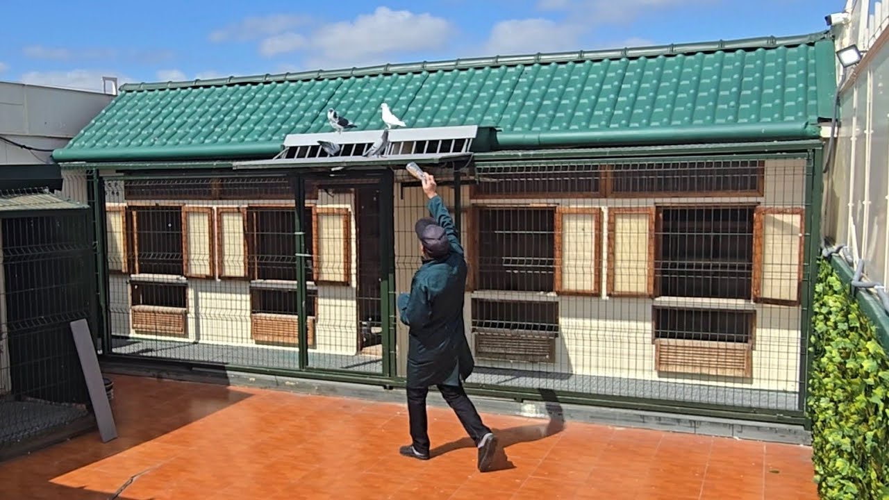 البطل الدرداري 🏆 حاضر برباعية 🔥 في أصعب سباق هذا الموسم رياح معاكسة قوية ومنافسة شرسة داخل الملتقى 💣