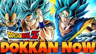 DOKKAN NOW LIVE STREAM WORLDWIDE 2023 LIVE REACTION!!! (DBZ: DOKKAN BATTLE)