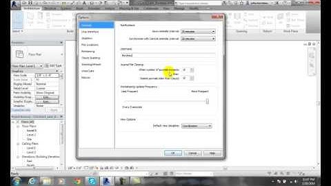 Revit 02-17 General Tab   Options
