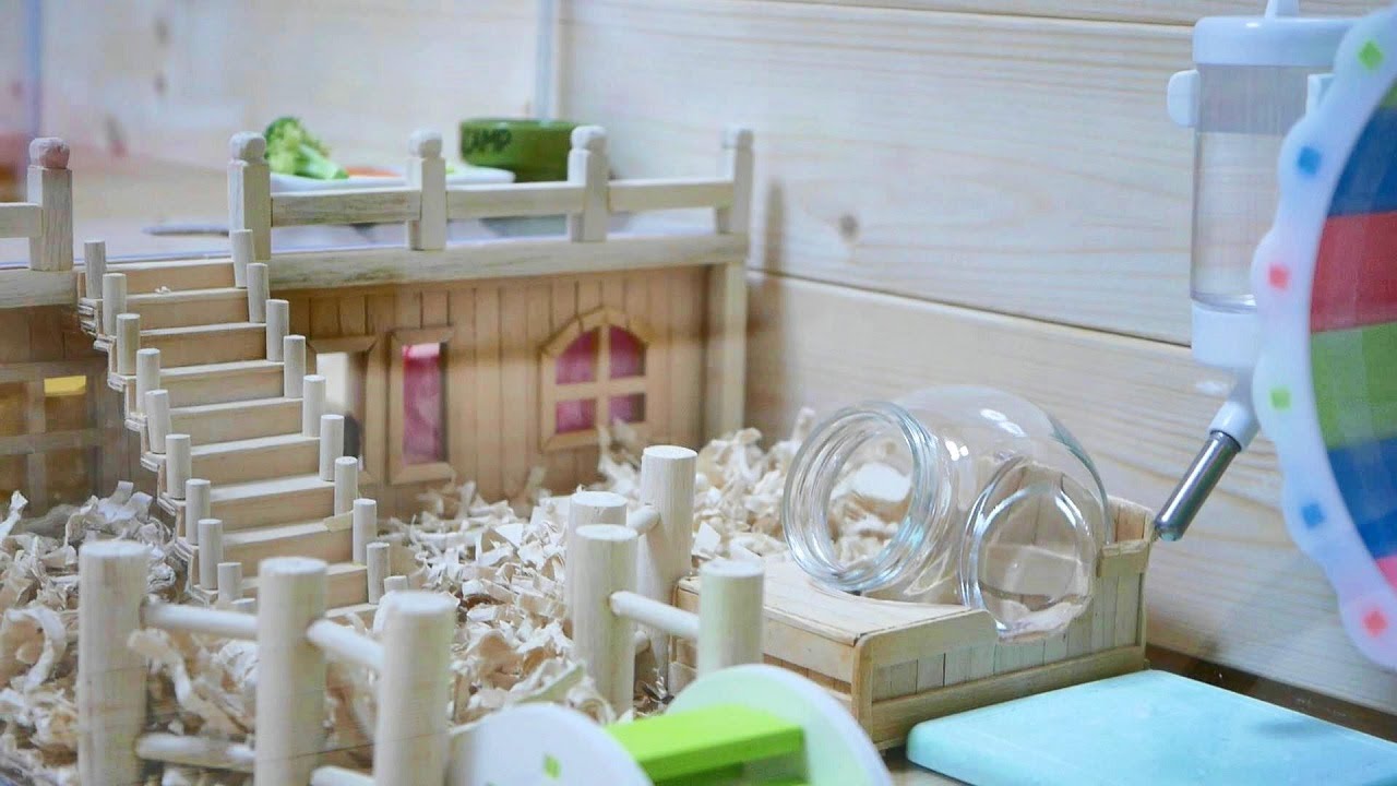 ハムスターを手作り豪邸にお迎えしたら可愛い出来事が Welcome To A Handemade Hamster House Youtube
