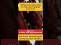 Работа на коровнике в Великобритании — стабильность и порядок
