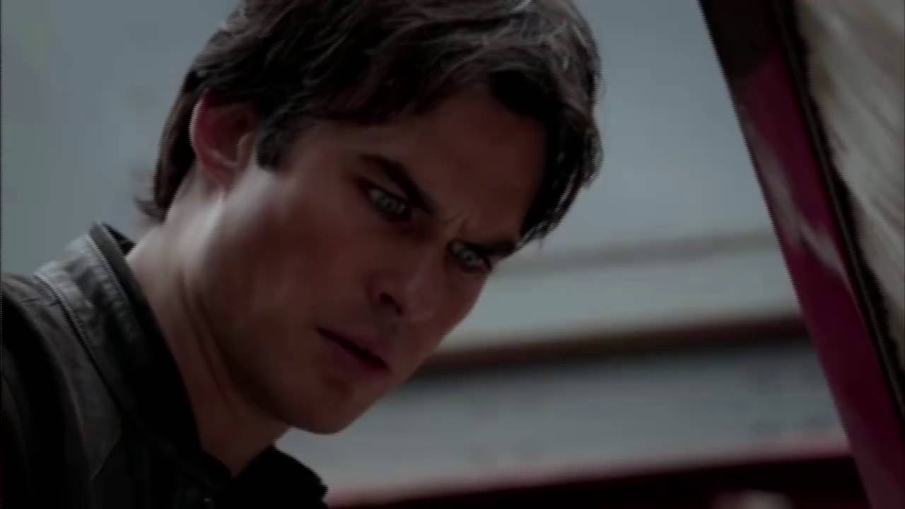 Elena is back season 8. YouTube