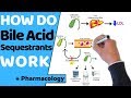 How do bile acid sequestrants work  pharmacology