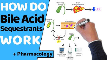 How do Bile Acid Sequestrants Work? (  Pharmacology)