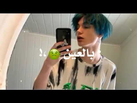 شكلكو شراشير بدون حقوق