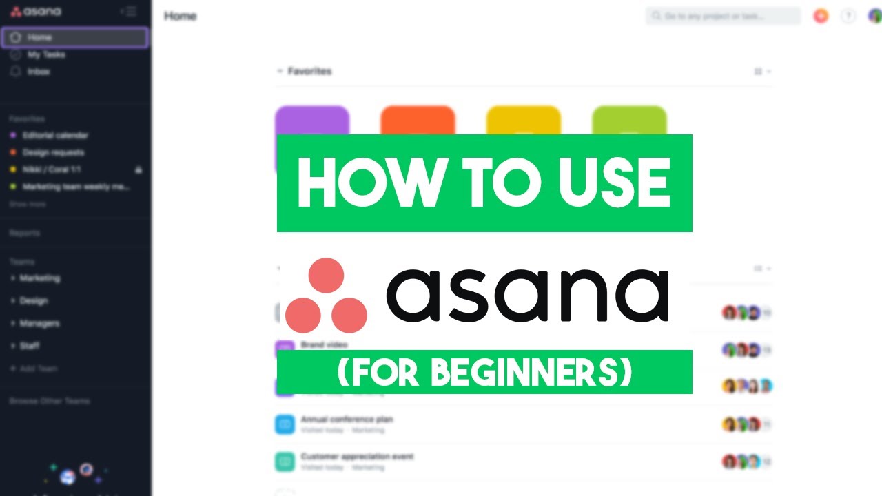 How To Use Asana | Manage Your Teams Projects and Tasks Online ...
