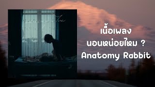 นอนหน่อยไหม?/AnatomyRabbit - เนื้อเพลง