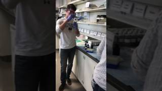 Mannequin challenge IUPUI