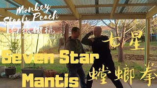 Seven Star Mantis - How is it Used?