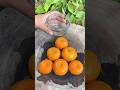 Survival Skills: Mom Shows How to Make 100% Good Soap and Water #Camping #Outdoors #Surviva l#Skills